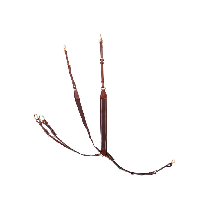 BR Breastplate Taunton