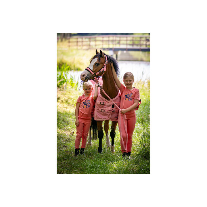 BR Mini Horse kantar z uwiązem