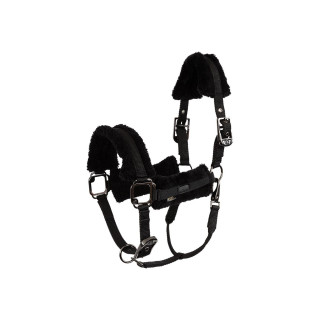 BR Eevolv kantar Jonne