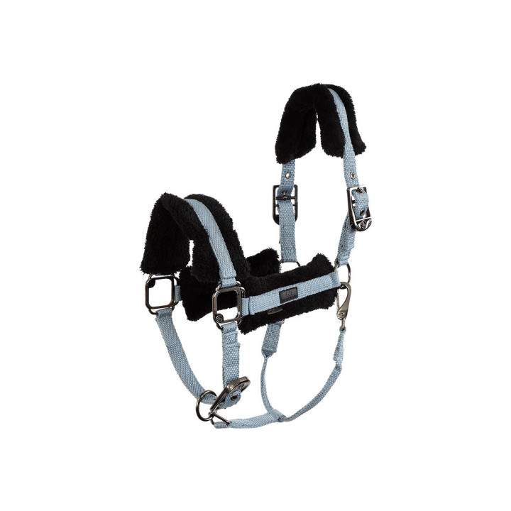 BR Eevolv kantar Jonne