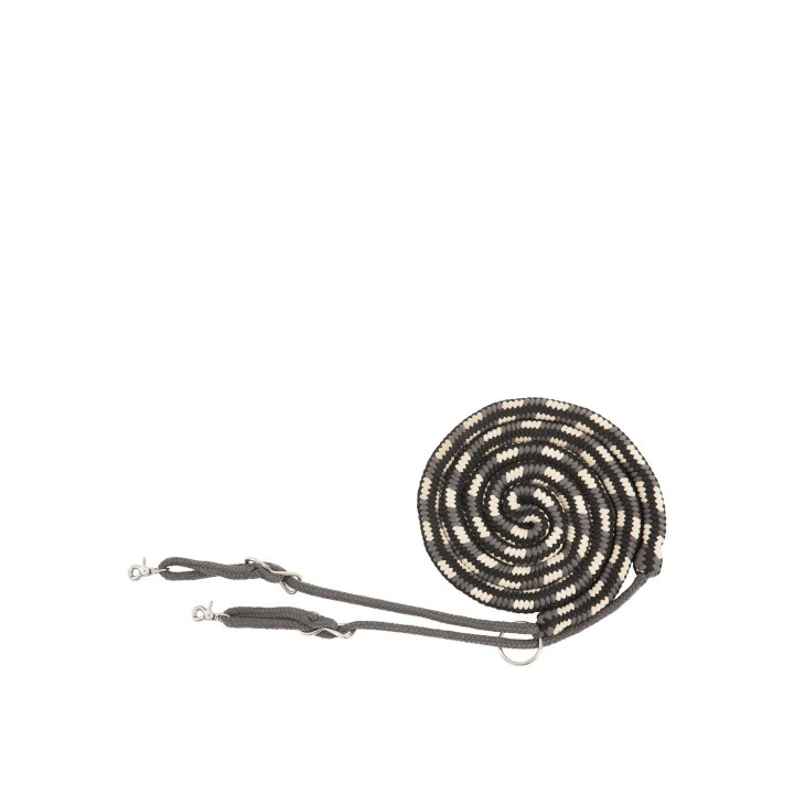 BR Pomoc treningowa do lonżowania