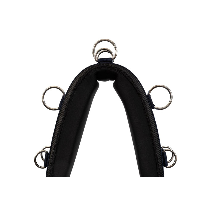 Premiere Lunging Roller