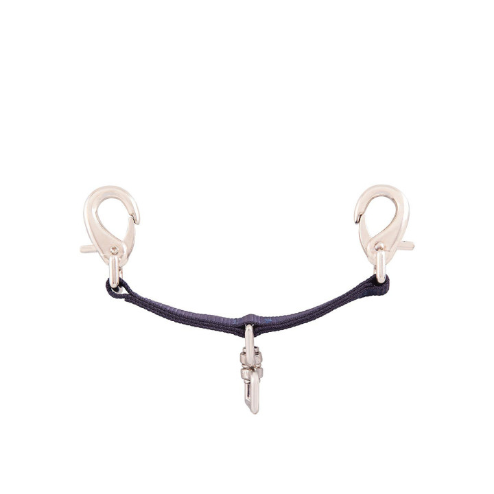 Premiere Lunging Attachment