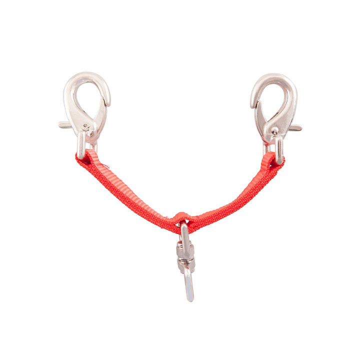 Premiere Lunging Attachment