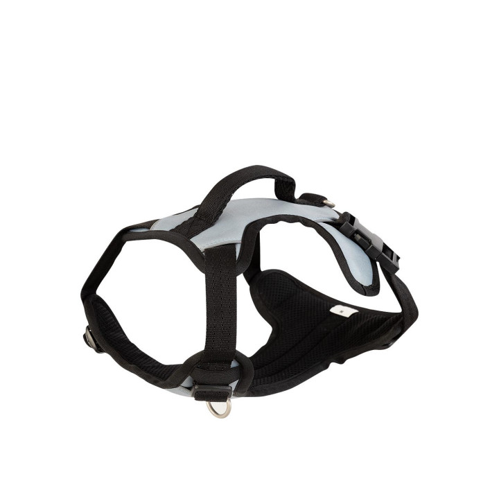 BR Dog Harness