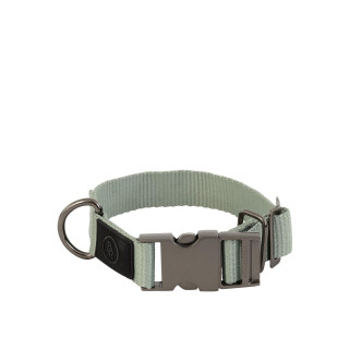 BR Dog Collar