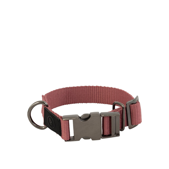 BR Dog Collar