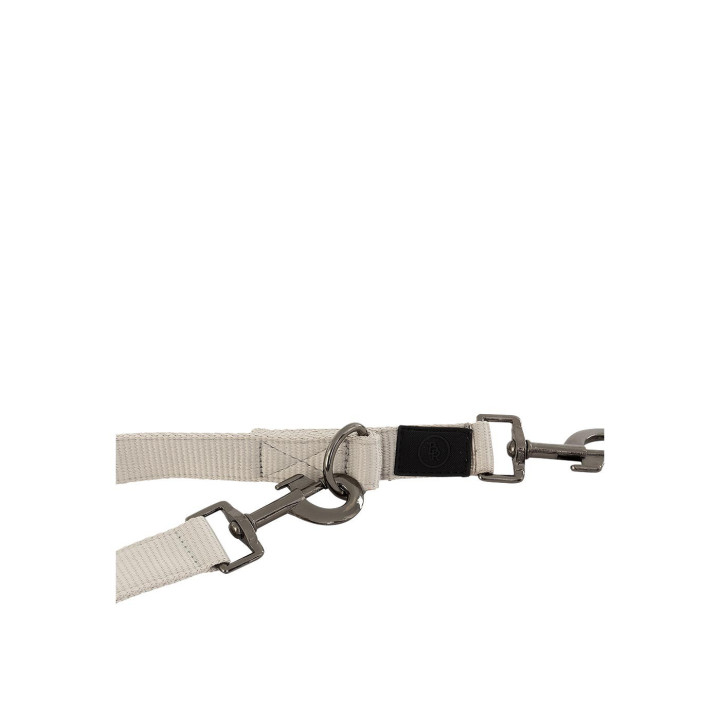 BR Dog Lead