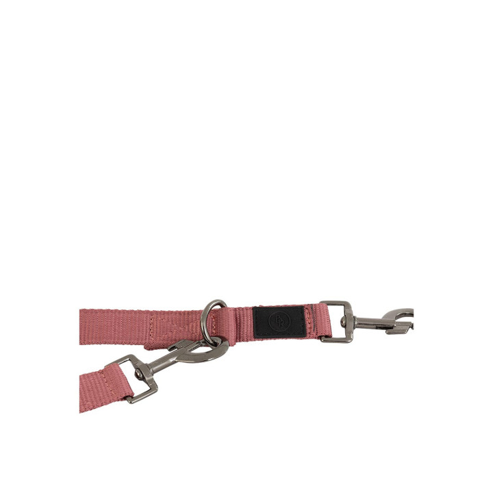 BR Dog Lead