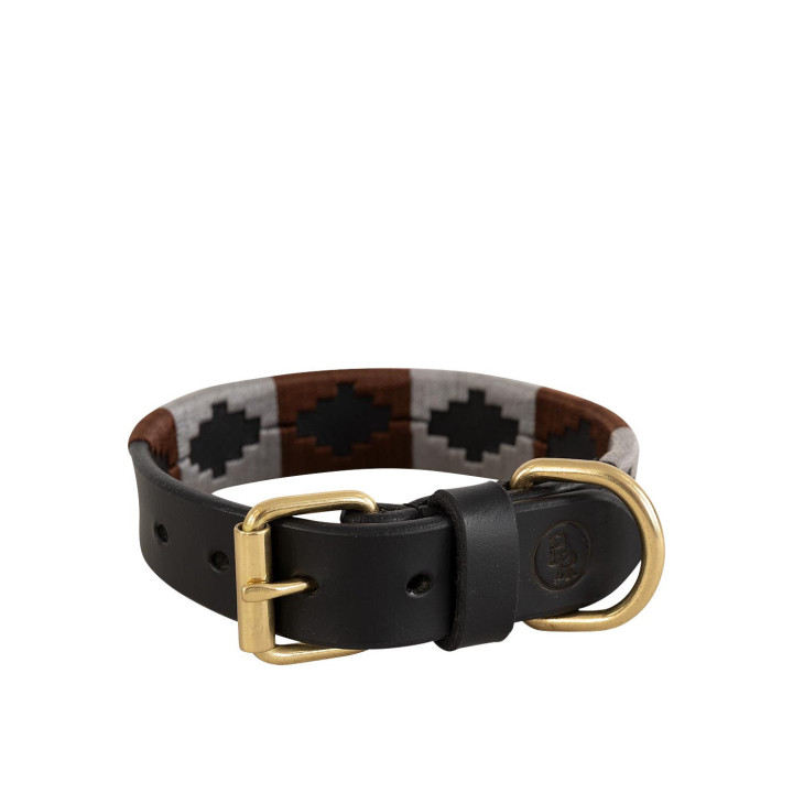 BR Dog Collar