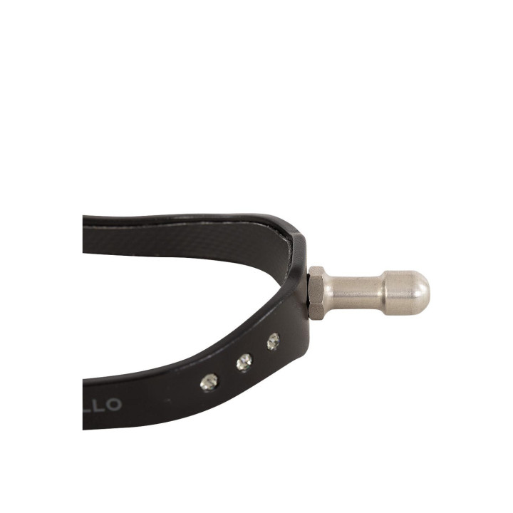 Acavallo Spurs Arena Aluplus 2.0 Special Edition