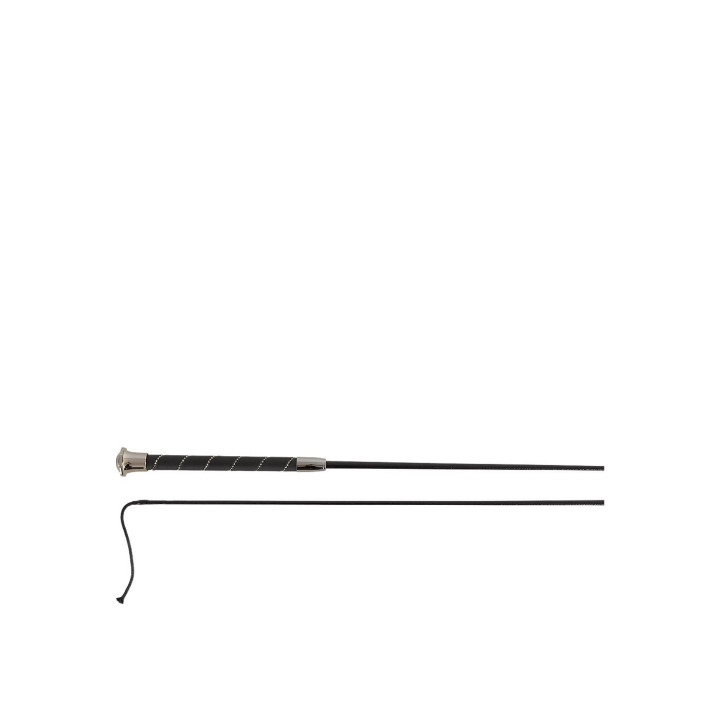 BR Dressage Whip Orion