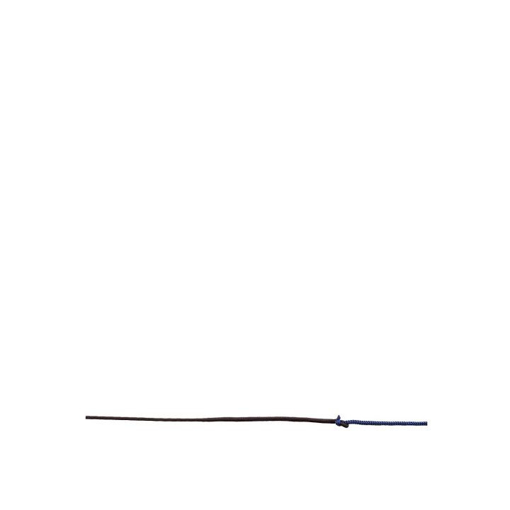 Premiere Lunging Whip Leda