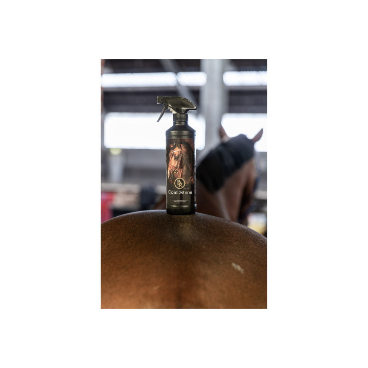 BR Spray nabłyszczający Coat Shine 500 ml PU6