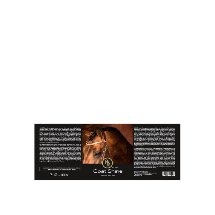 BR Coat Shine 1000 ml PU6