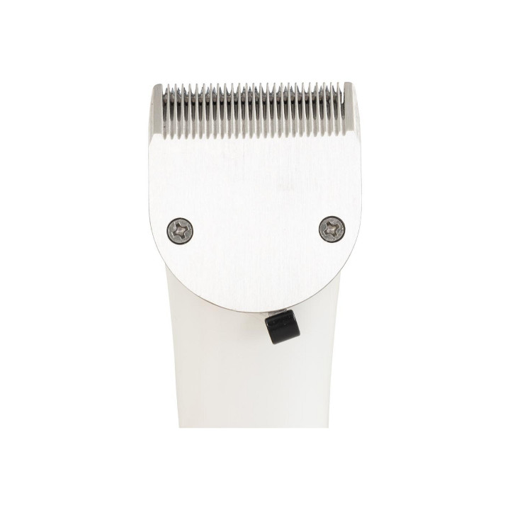 Premiere Clipper Condor