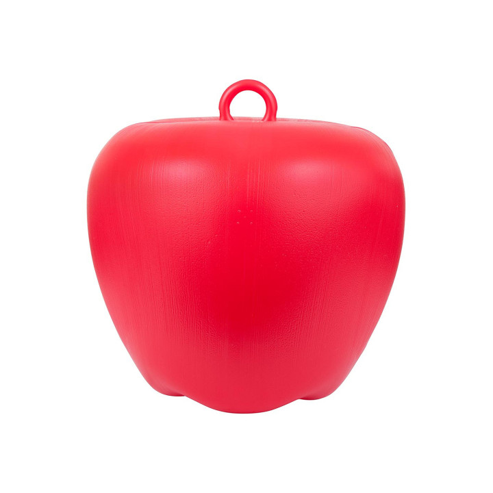 Jolly Ball Toy Apple