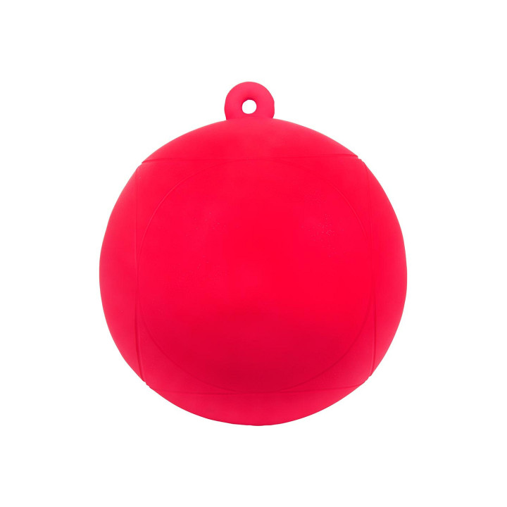 Premiere Horse Play Ball