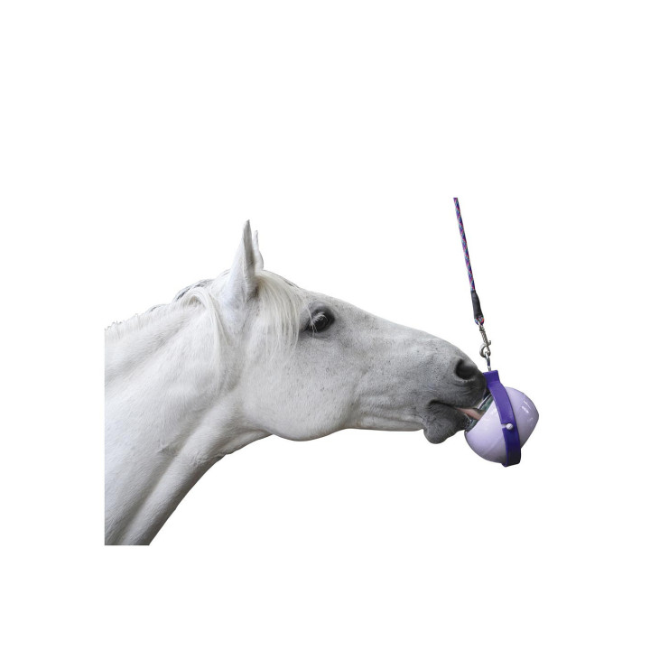 Likit Boredom Buster