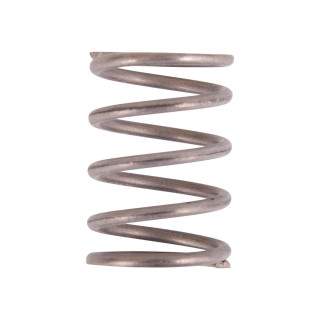 Valve Spring