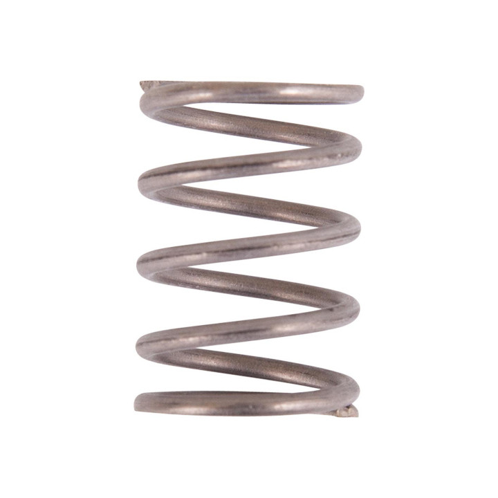 Valve Spring