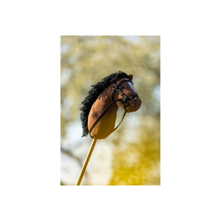 BR Mini Horse Hobby Horse