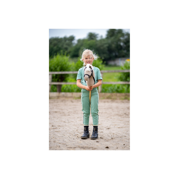 BR Mini Horse Hobby Horse