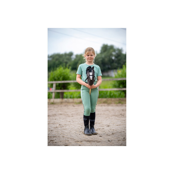 BR Mini Horse Hobby Horse