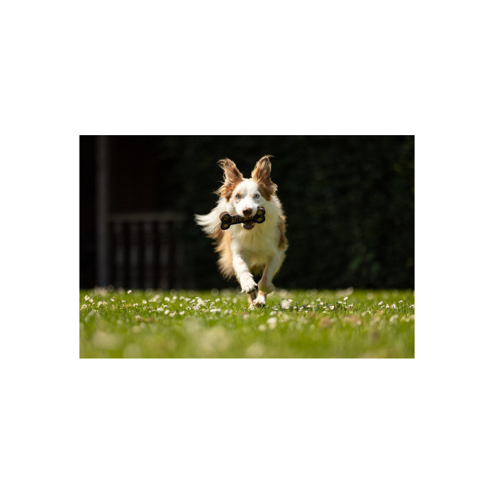 BR Dog Toy Bone