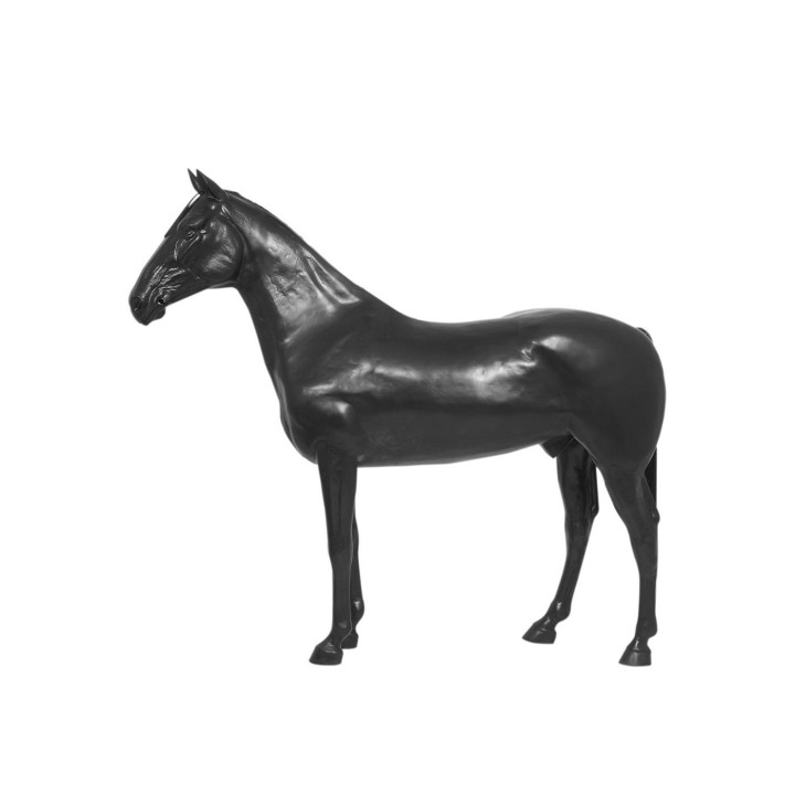 Horse Display