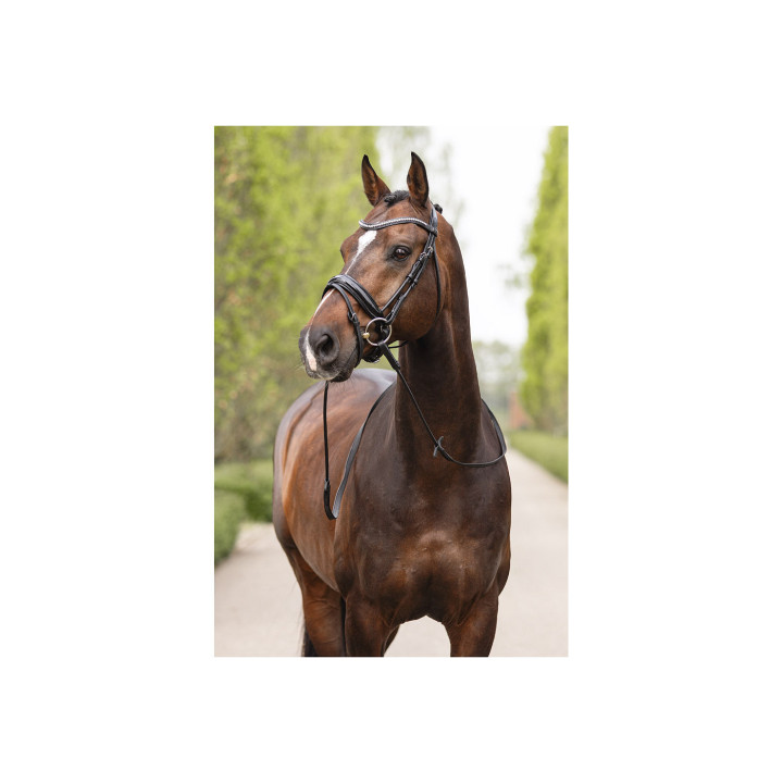ANKY® Bridle ATH16003