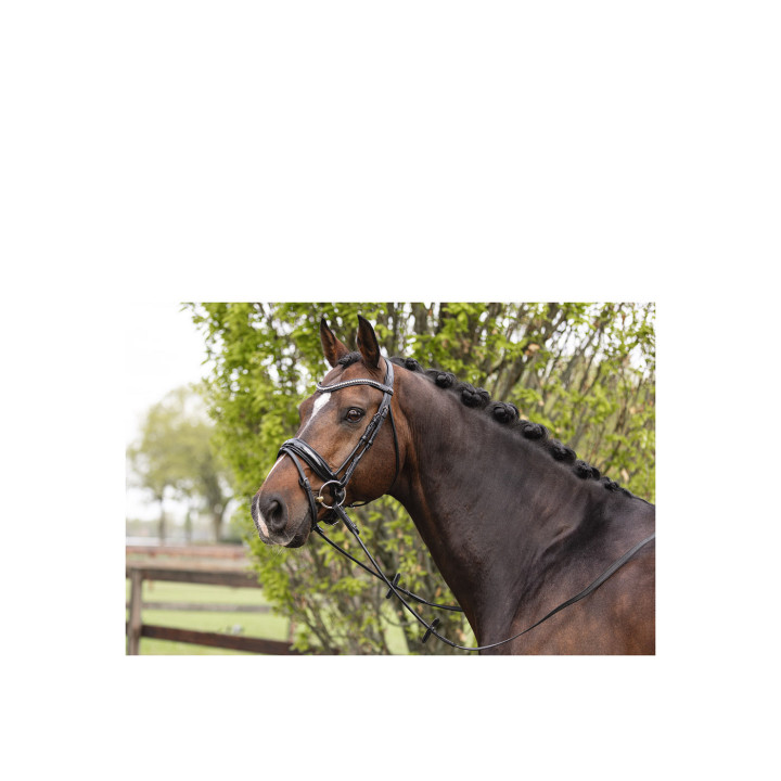 ANKY® Bridle ATH16003