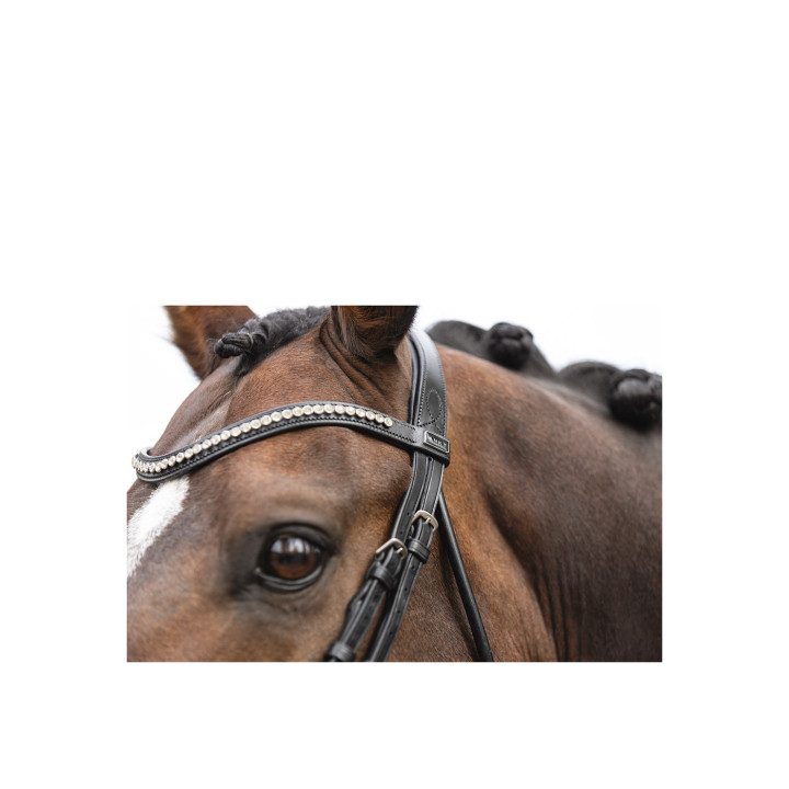 ANKY® Bridle ATH16003