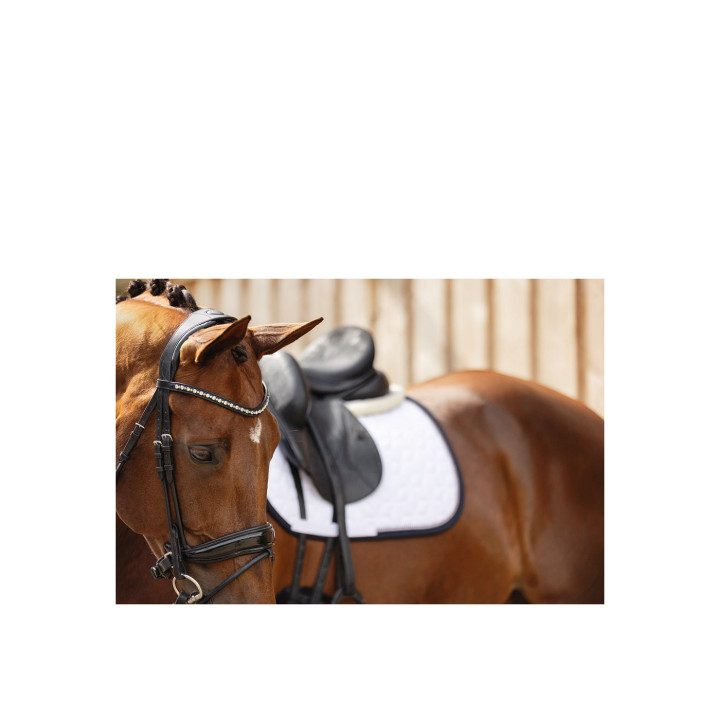 ANKY® Bridle Comfort Fit Double Anatomical ATH19002