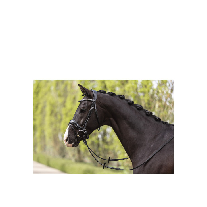 ANKY® Bridle Comfort Fit Double Anatomical ATH19002