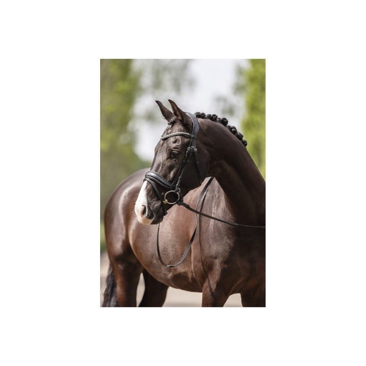 ANKY® Bridle Pullback Noseband ATH19003