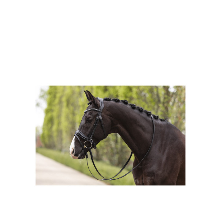 ANKY® Bridle Pullback Noseband ATH19003