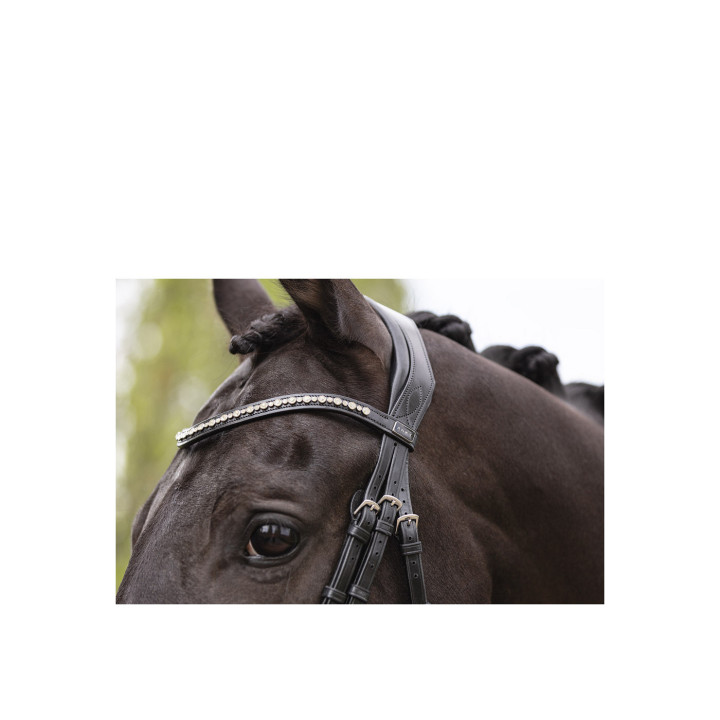 ANKY® Bridle Pullback Noseband ATH19003