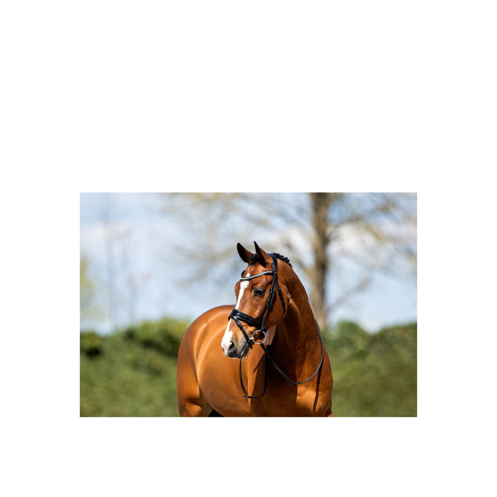 ANKY® Ogłowie ATH20005