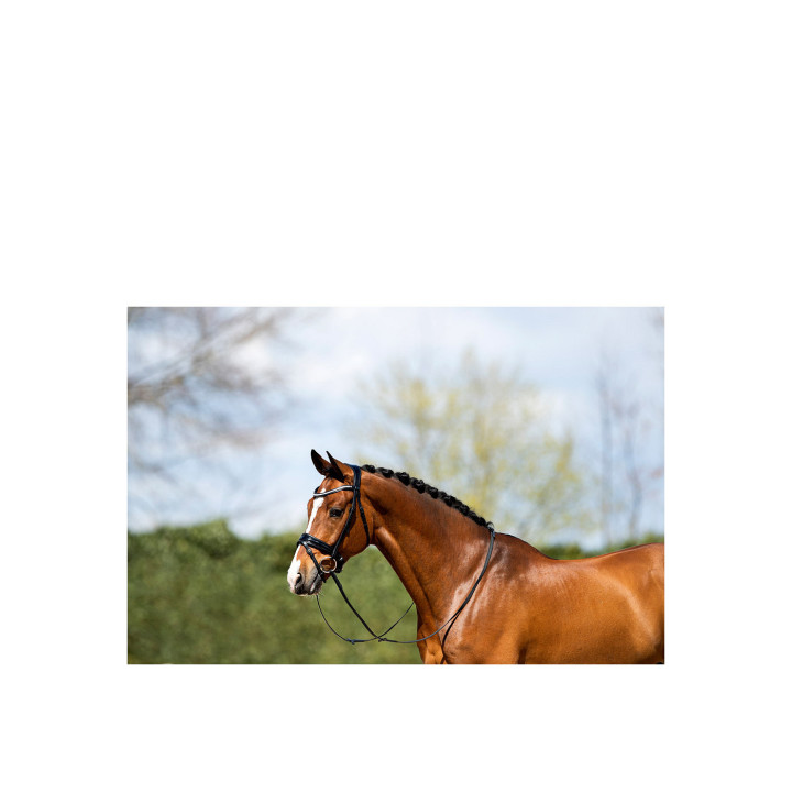 ANKY® Bridle ATH20005