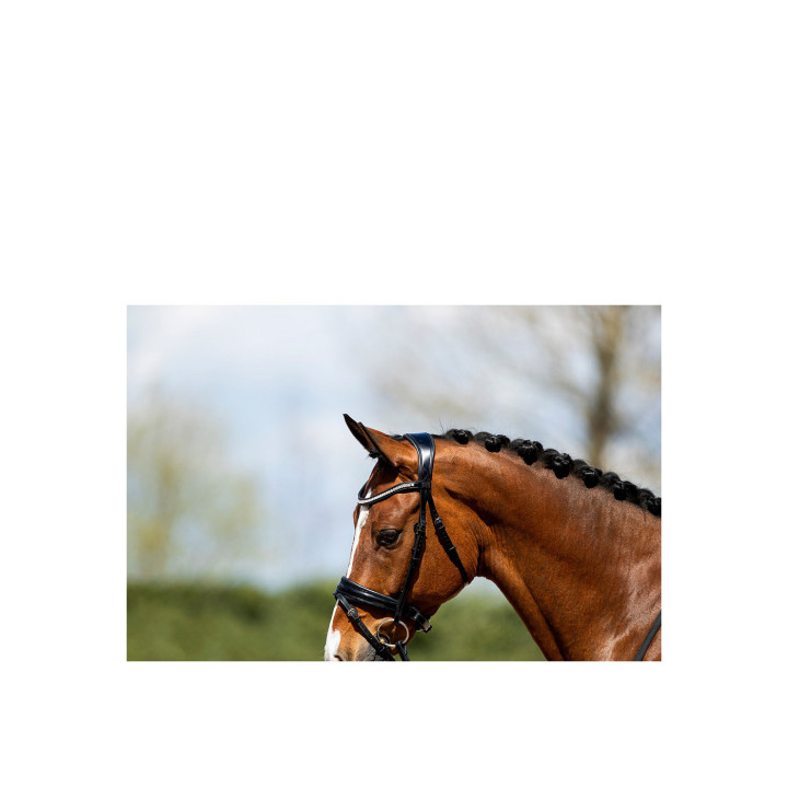 ANKY® Bridle ATH20005