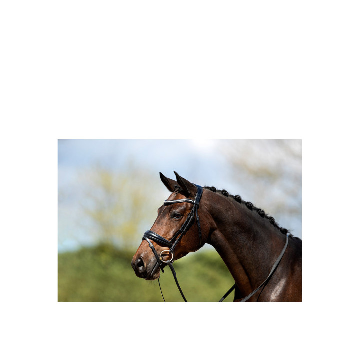 ANKY® Bridle ATH20004
