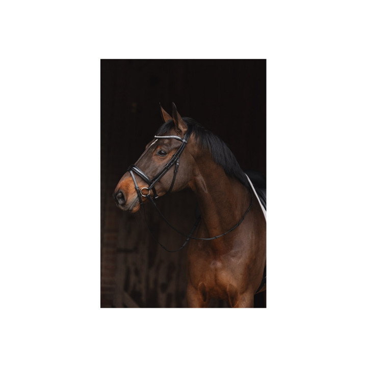 ANKY® Bridle Metallic Patent ATH24001