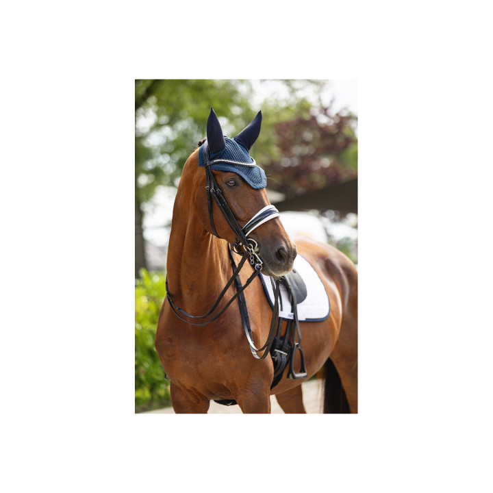 ANKY® Double Bridle ATH23002