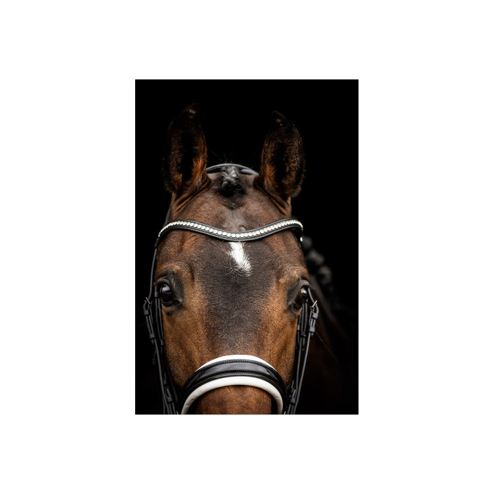 ANKY® Double Bridle ATH23002