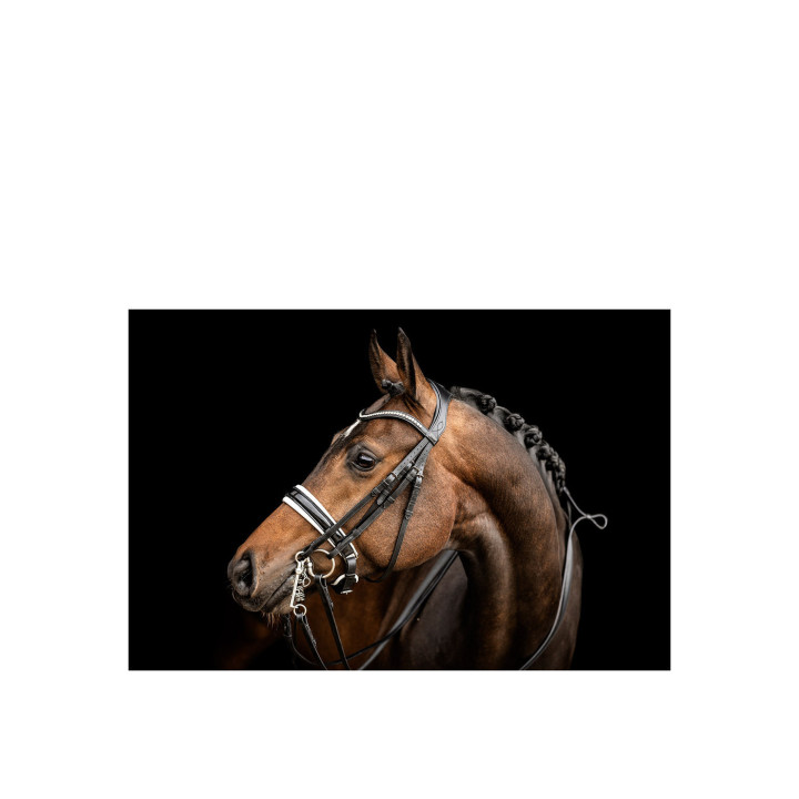 ANKY® Double Bridle ATH23002