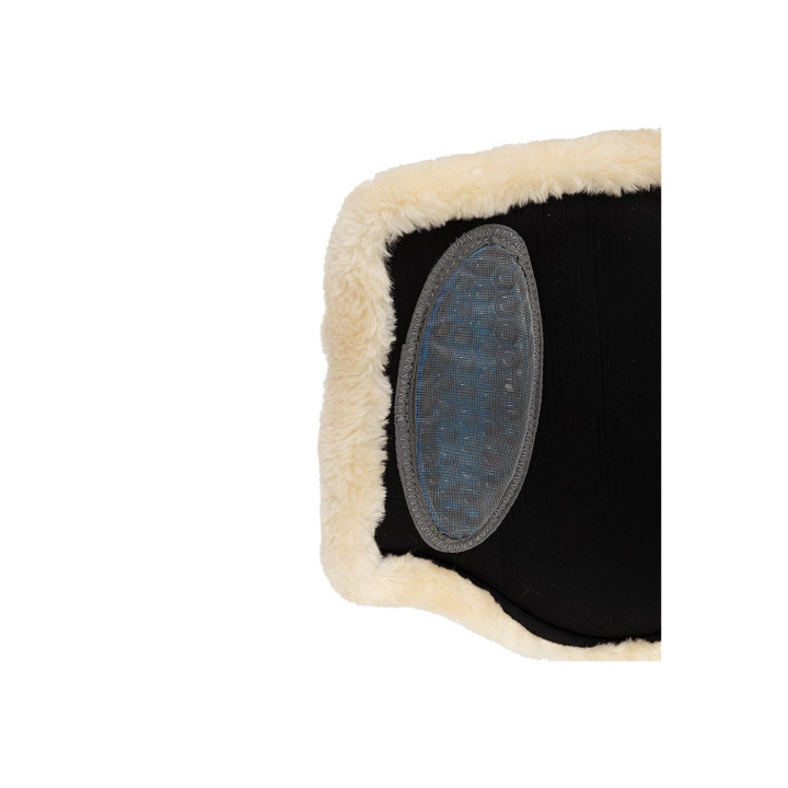 ANKY® Active Gel Impact Horse Boots ATB22001