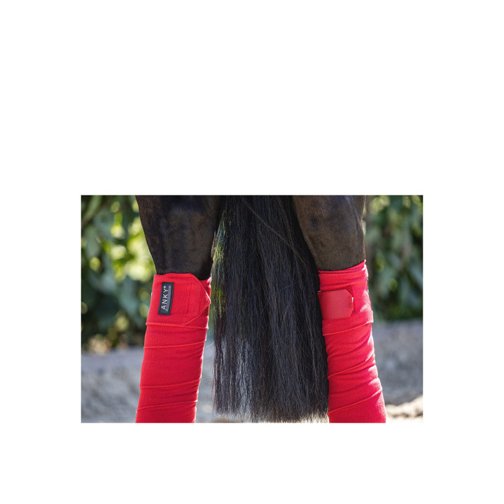 ANKY® Bandages ATB001