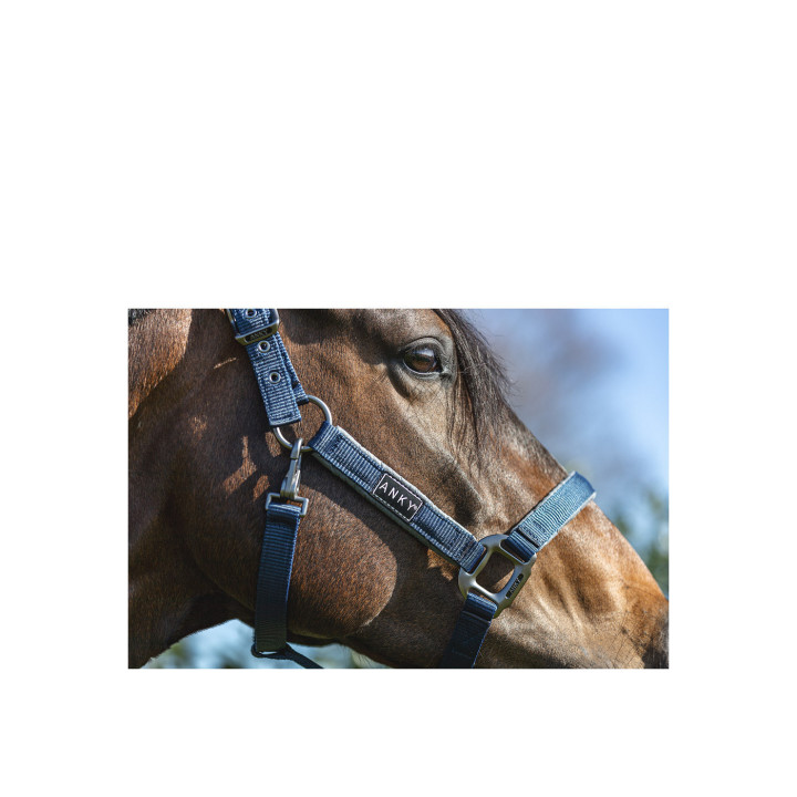 ANKY® Grooming kantar ATH22001