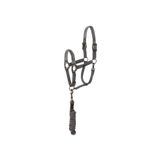 ANKY® halter and Lead stones ATH23001